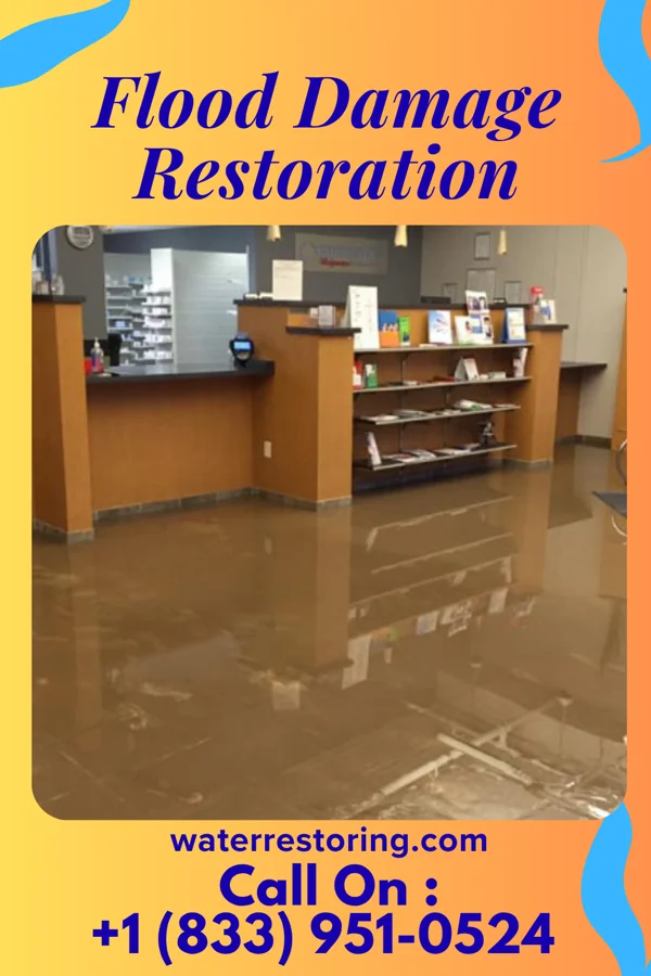 Flood Damage Restoration in Alpha, IL