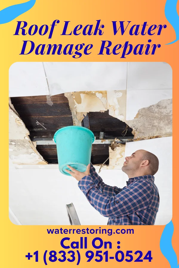 Roof Leak Water Damage Repair in Alpha, IL