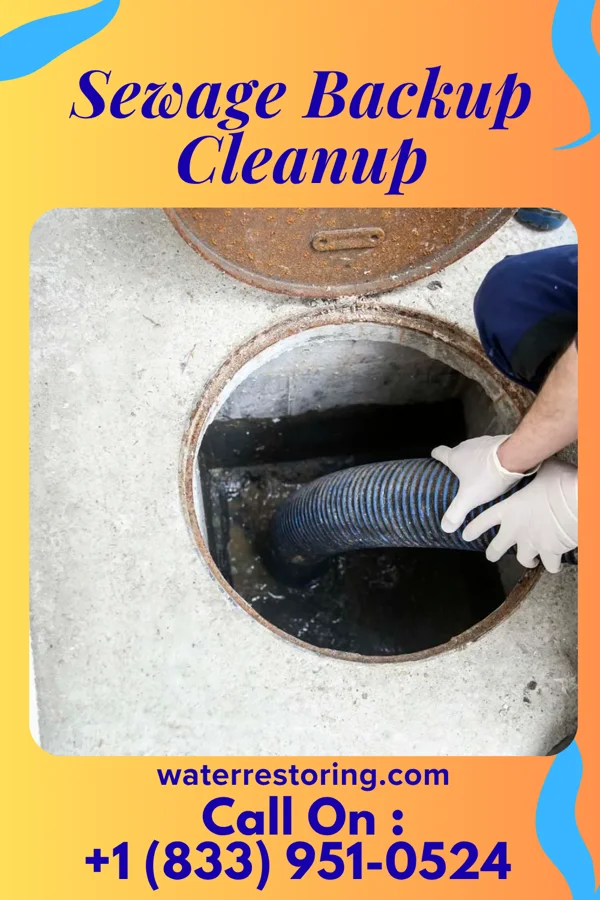 Sewage Backup Cleanup in Alpha, IL
